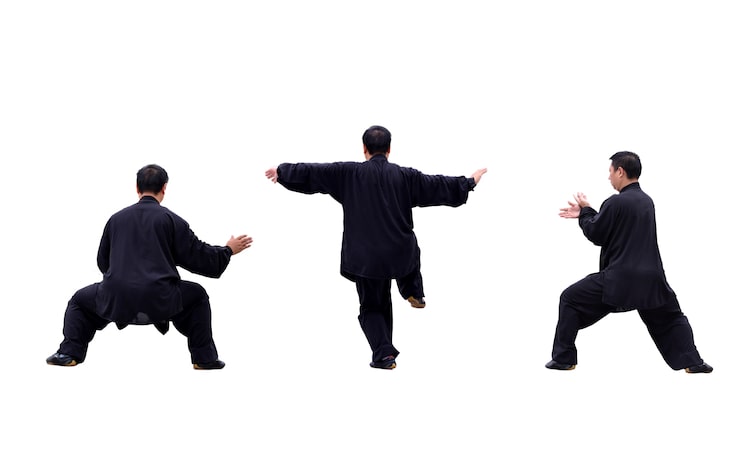 Half-day martial arts immersion